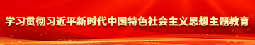 成人av动作片网站学习贯彻习近平新时代中国特色社会主义思想主题教育