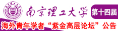 国产桶逼南京理工大学第十四届海外青年学者紫金论坛诚邀海内外英才！